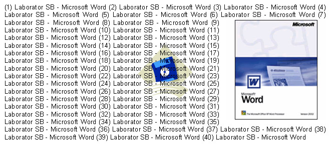 Office Word 2003 - Aplicatia 3-4