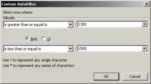 AutoFilter Custom